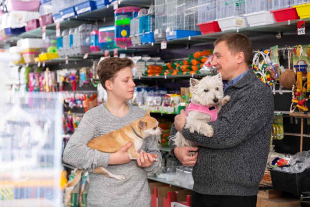 Rooms and Exits Pet Shop