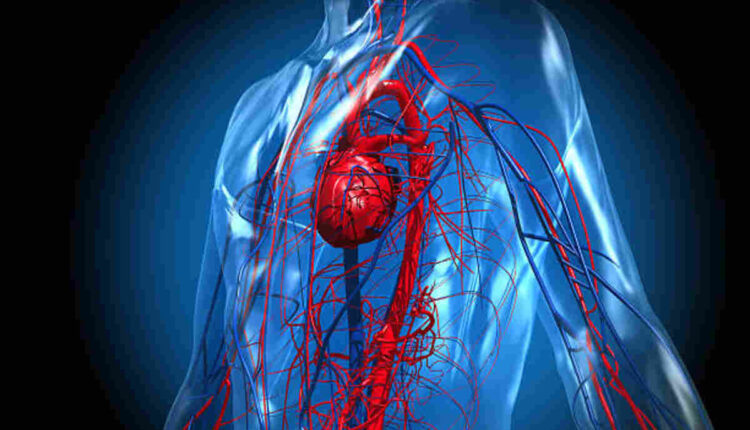 Center for Advanced Vein Care