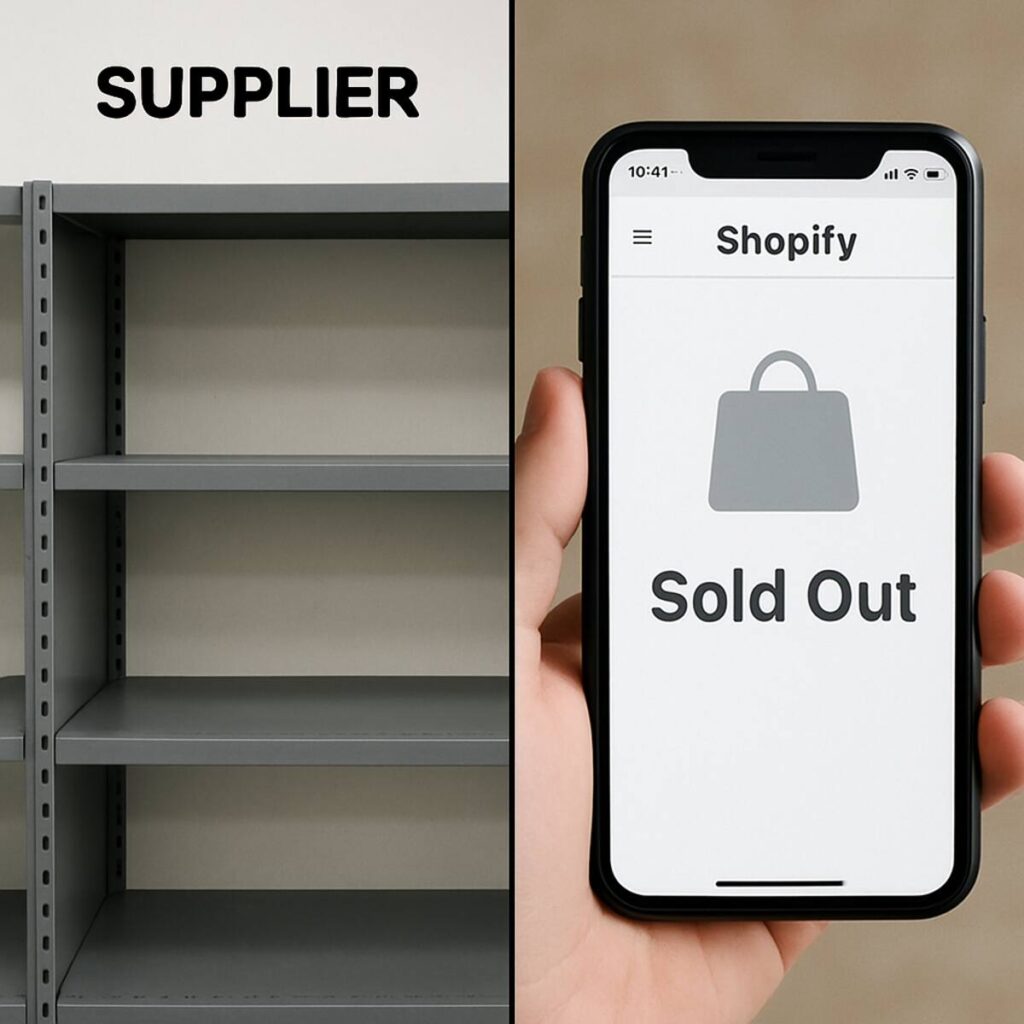 Maximize Profits with Shopify Dropshipping Tools